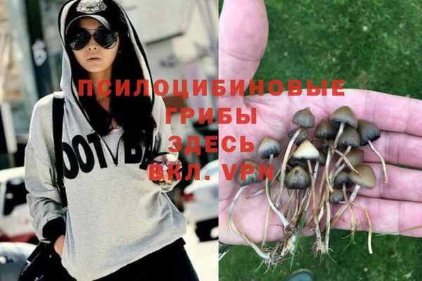 марки nbome Карпинск