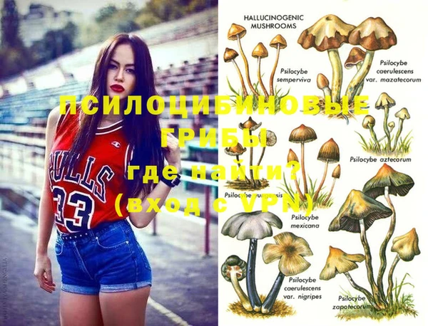 мескалин Киреевск